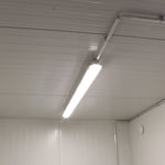20′ Insulated Container