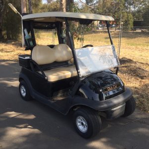 Club Car Precedent 48v Electric 2018 Model